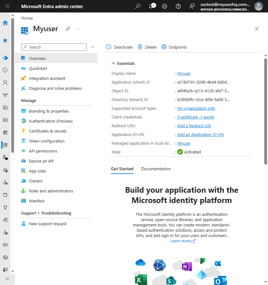 Application (client) ID on the Overview page